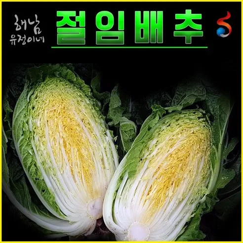 해남 유정이네 절임배추