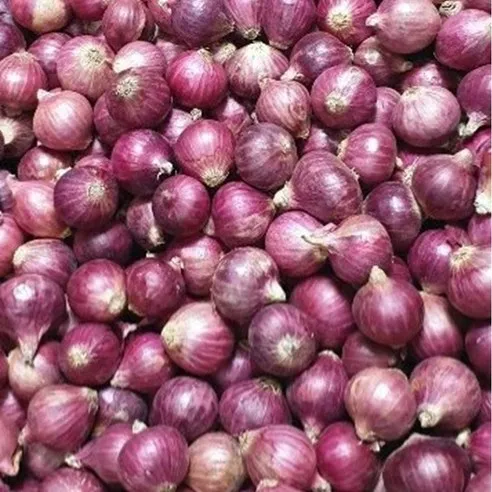 샬롯 (Shallot), 1kg, 1개