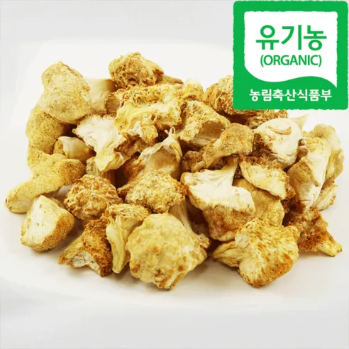 돌산버섯농장 유기농 노루궁뎅이버섯 건조 100g 200g 300g 500g, 100g, 1개