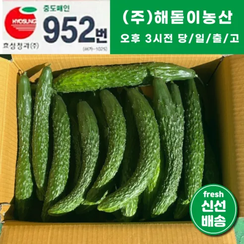 <해돋이농산> 국내산 오이 가시오이 청오이 못난이오이 3kg 5kg 10kg 내외, 3kg내외, 1개” /></a></div>
<div class=