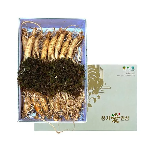 풍기인삼제조창 6년근 풍기인삼 500g 15-20편, 500g, 1개