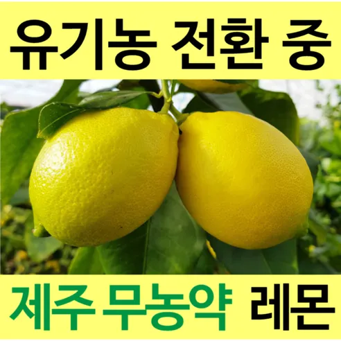 [통째로 레몬] 제주 무농약 레몬 3kg 5kg 10kg 껍질까지 통째로 먹는 레몬, 제주 친환경 무농약..., 1박스