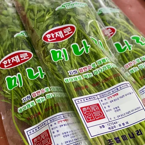 청도 한재로 미나리 1kg (당일수확/산지직송)